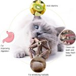 Silvervine Catnip Ball Chew Toy - Image 2