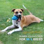 Squeaky Rubber Rugby Ball Dog Toy - Image 8