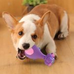 Squeaky Latex Chew Toys for Dogs, 4-Pack - Image 3