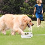 Step-On Outdoor Dog Water Fountain - Image 4