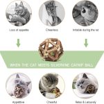 Silvervine Catnip Ball Chew Toy - Image 7