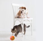 Self-Rotating Smart Cat Ball Toy - Image 5