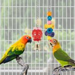 Parakeet Swing & Chew Toy Set - Image 6