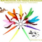 Retractable Feather Wand Cat Toy Set - Image 5