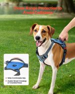 No-Pull Reflective Dog Harness with 5 ft Leash - Image 5