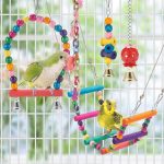 Parakeet Swing & Chew Toy Set - Image 2