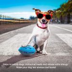 Squeaky Rubber Rugby Ball Dog Toy - Image 5