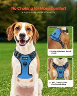 No-Pull Reflective Dog Harness with 5 ft Leash - Image 4