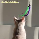 Retractable Feather Wand Cat Toy Set - Image 6