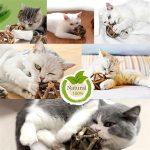 Silvervine Catnip Ball Chew Toy - Image 6