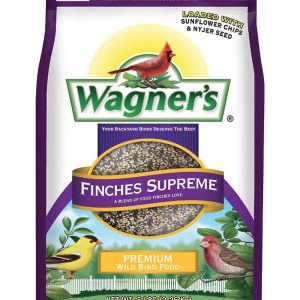 Wagner's new